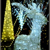 ~ Reindeer of the light ~