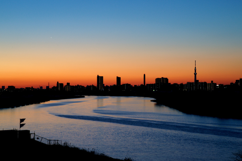 ‎"Tokyo Morning Glow"