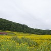 厚岸　子野日公園