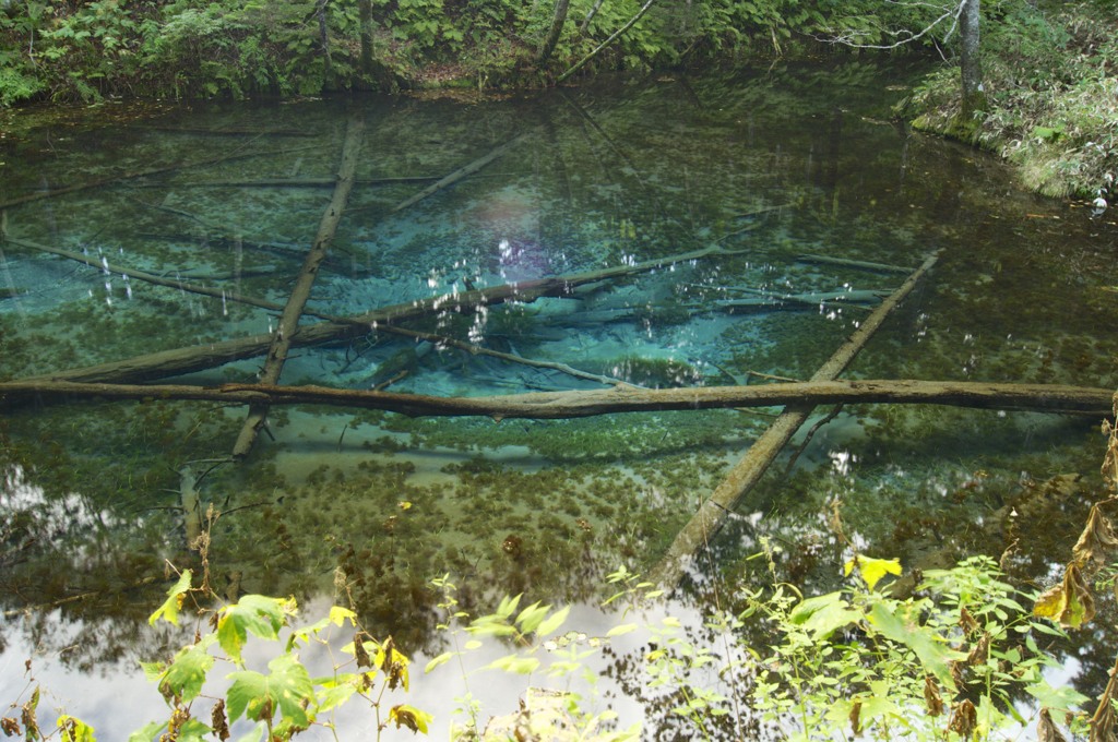 清里町　神の子池
