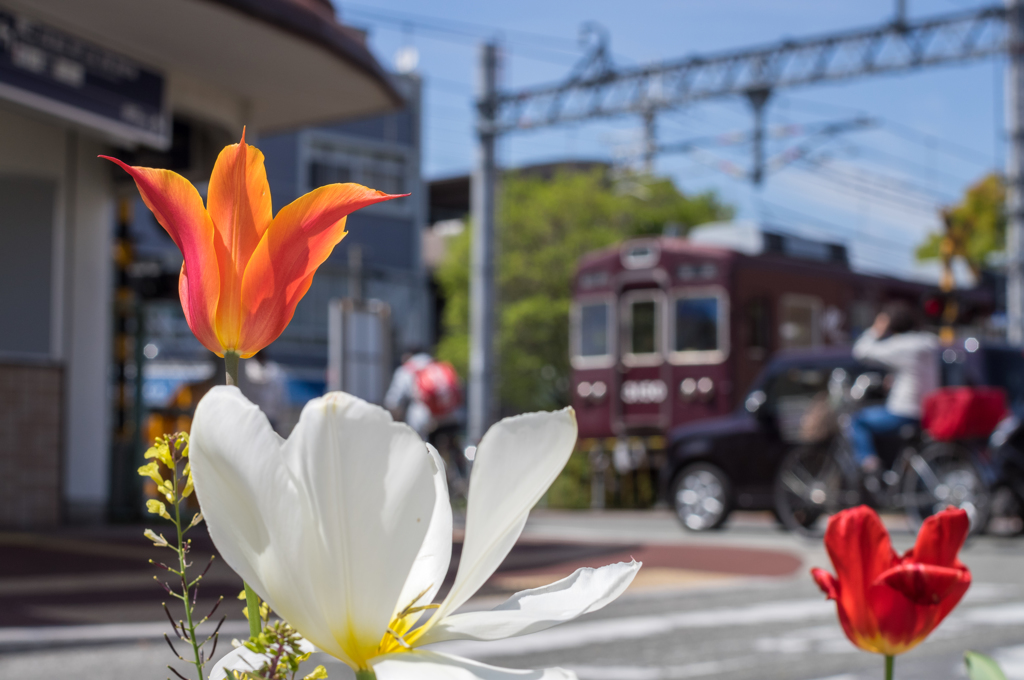 列車がやって来た！