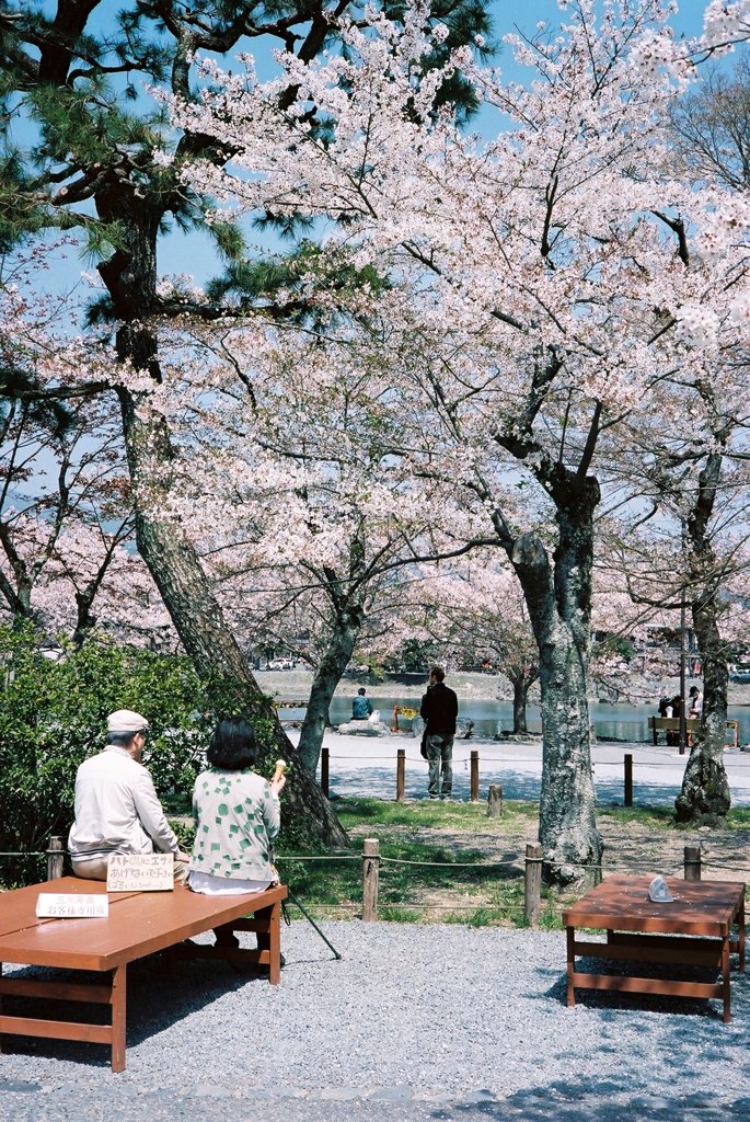 桜茶屋