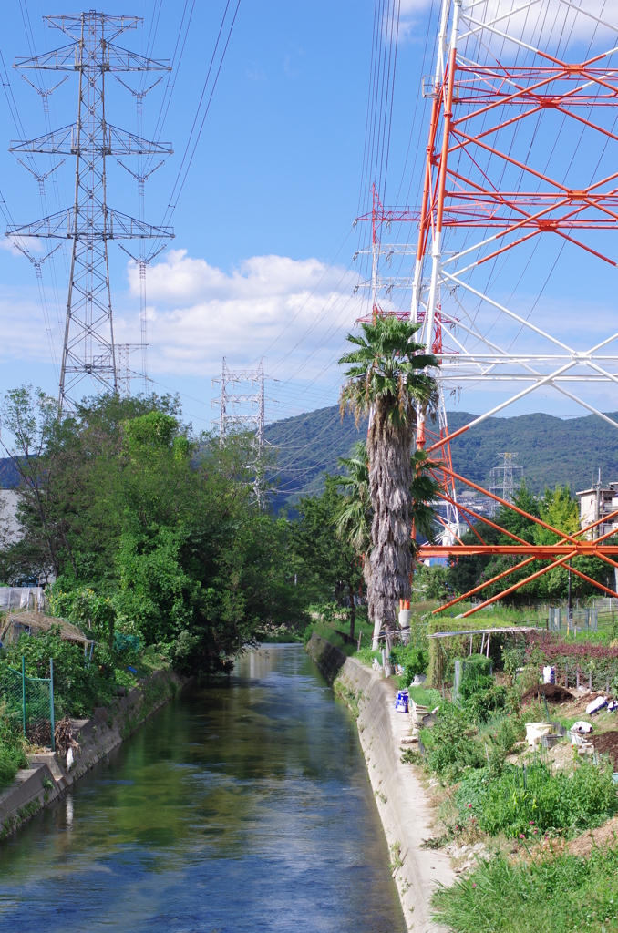 用水路のある風景