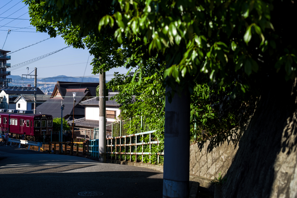 坂道通り