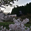夕暮れを往く...