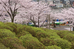 かくれんぼ