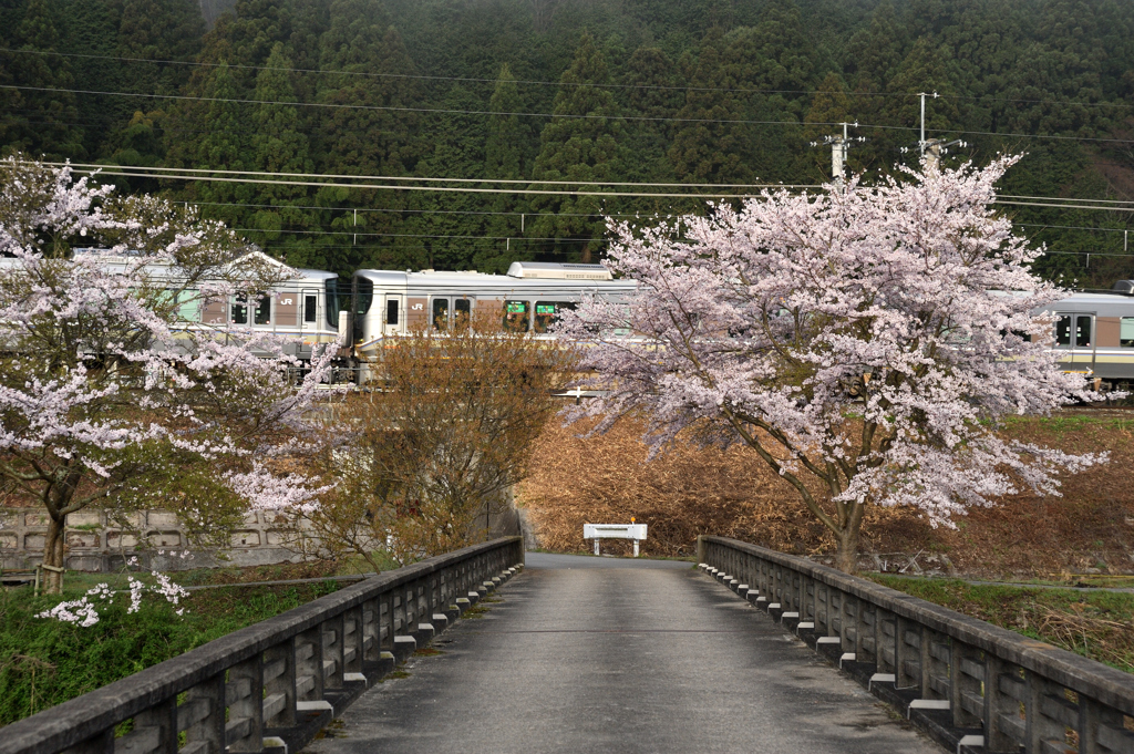 通りすがり