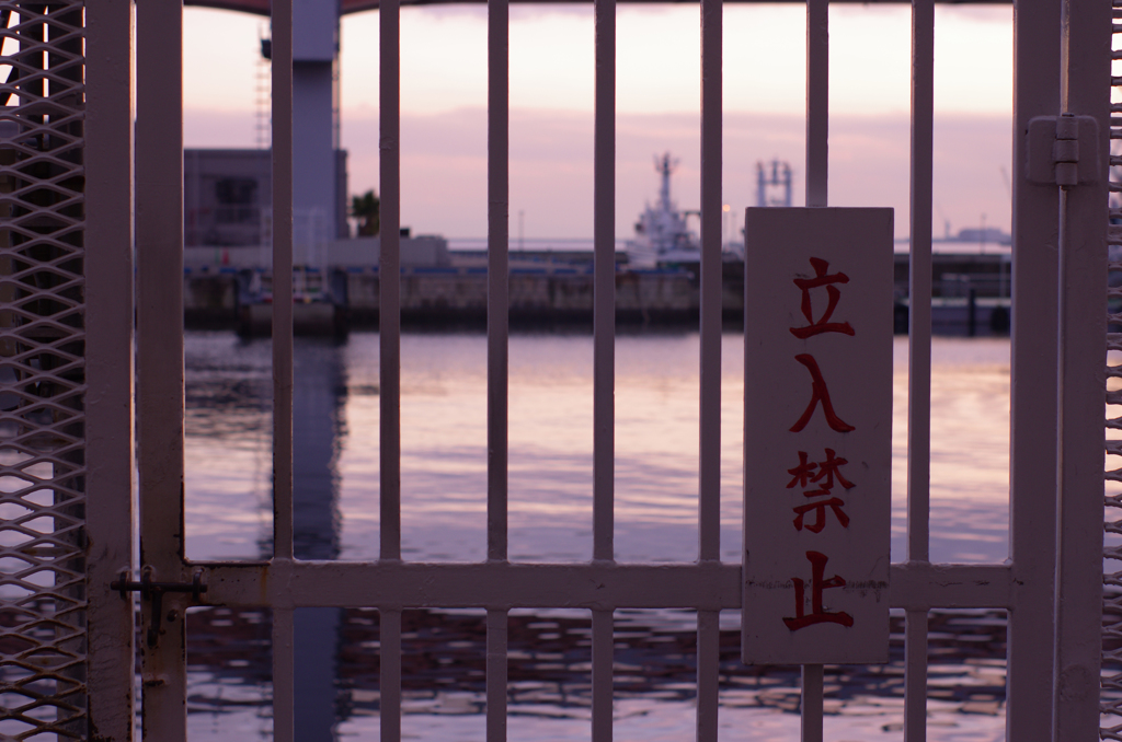 柵の向こうへ