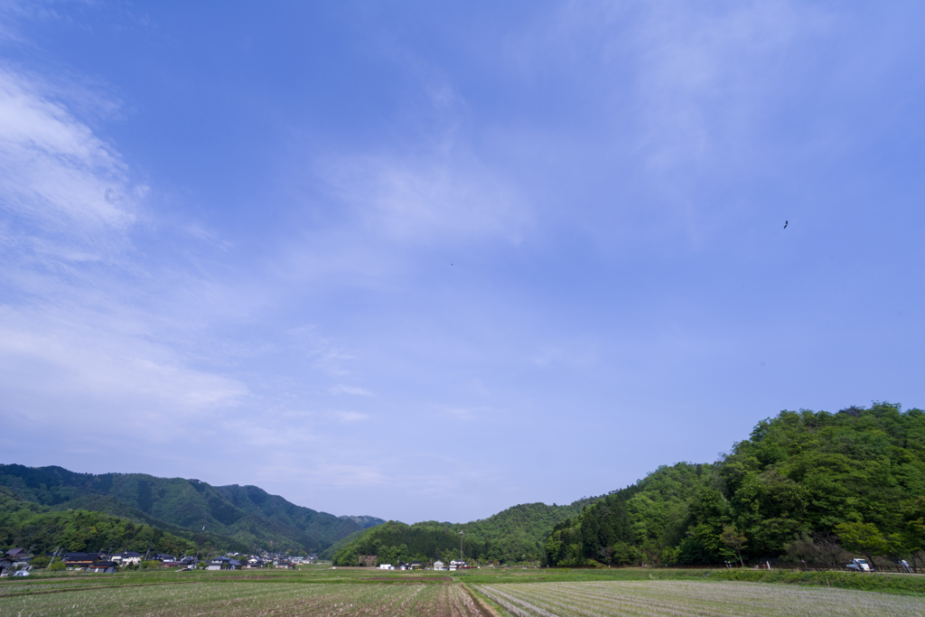 コウノトリの郷公園