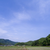 コウノトリの郷公園