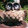 信楽へようこそ！