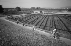 とある昼下がりの情景