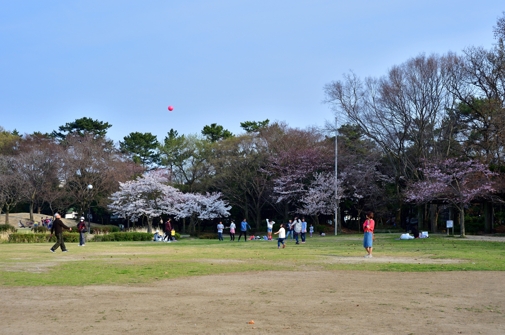 春の公園で