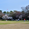 春の公園で