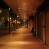 夜の街道をぶらり歩き