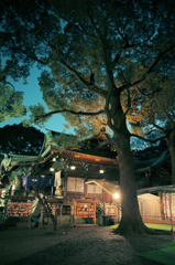 2013初詣1