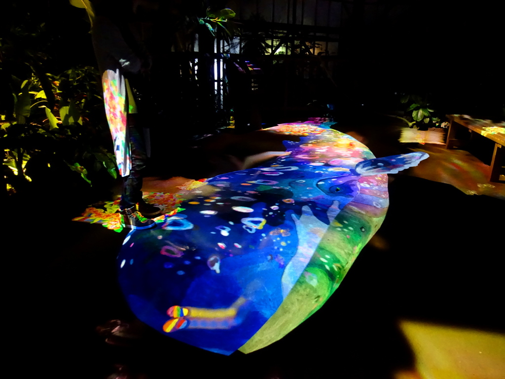 夜のクジラ