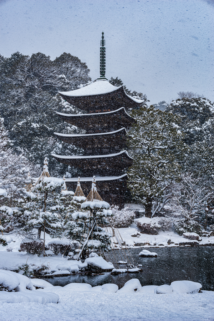 雪化粧