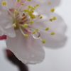 一滴