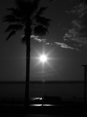 sunset monochrome