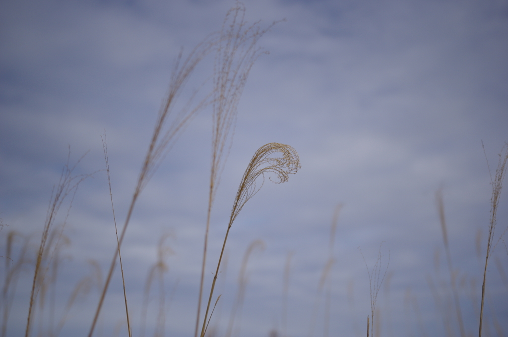 空想