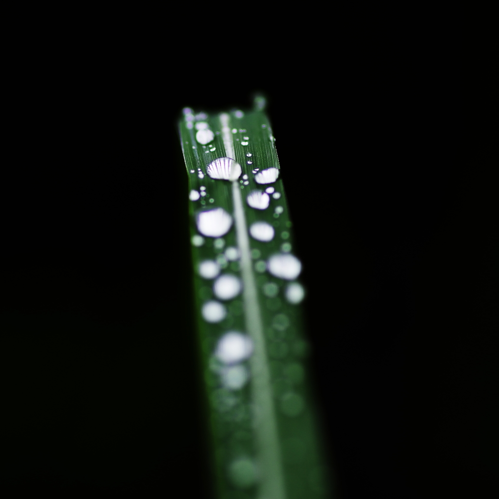 雨粒