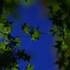 blue sky