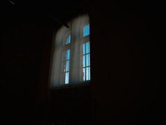 窓