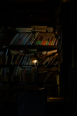 Book of Days