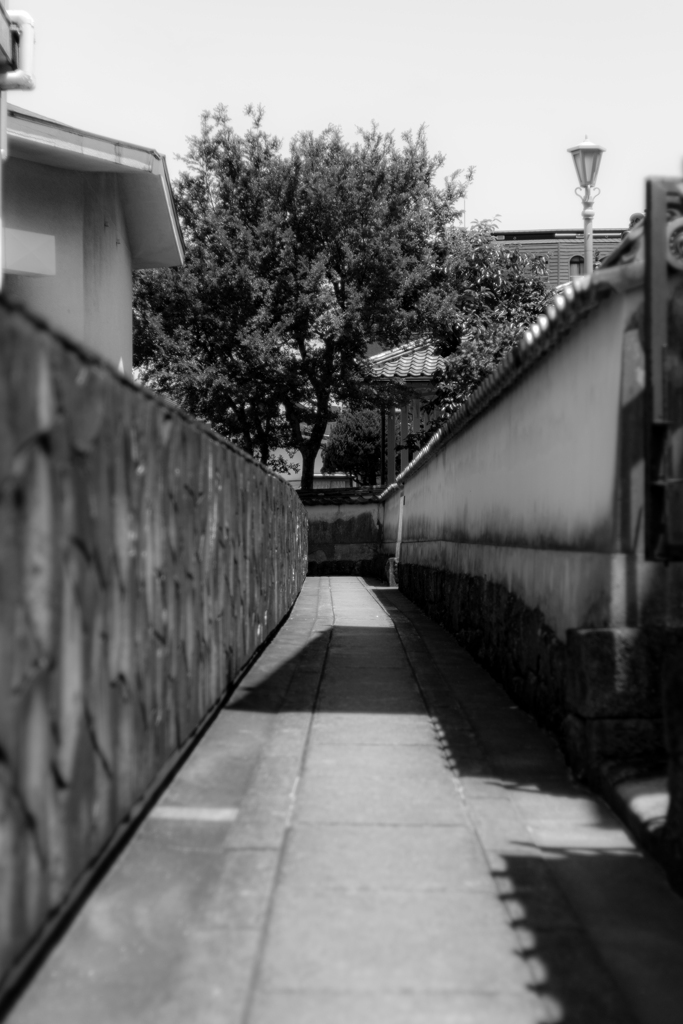 ∻　この道　∻