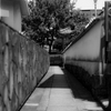 ∻　この道　∻