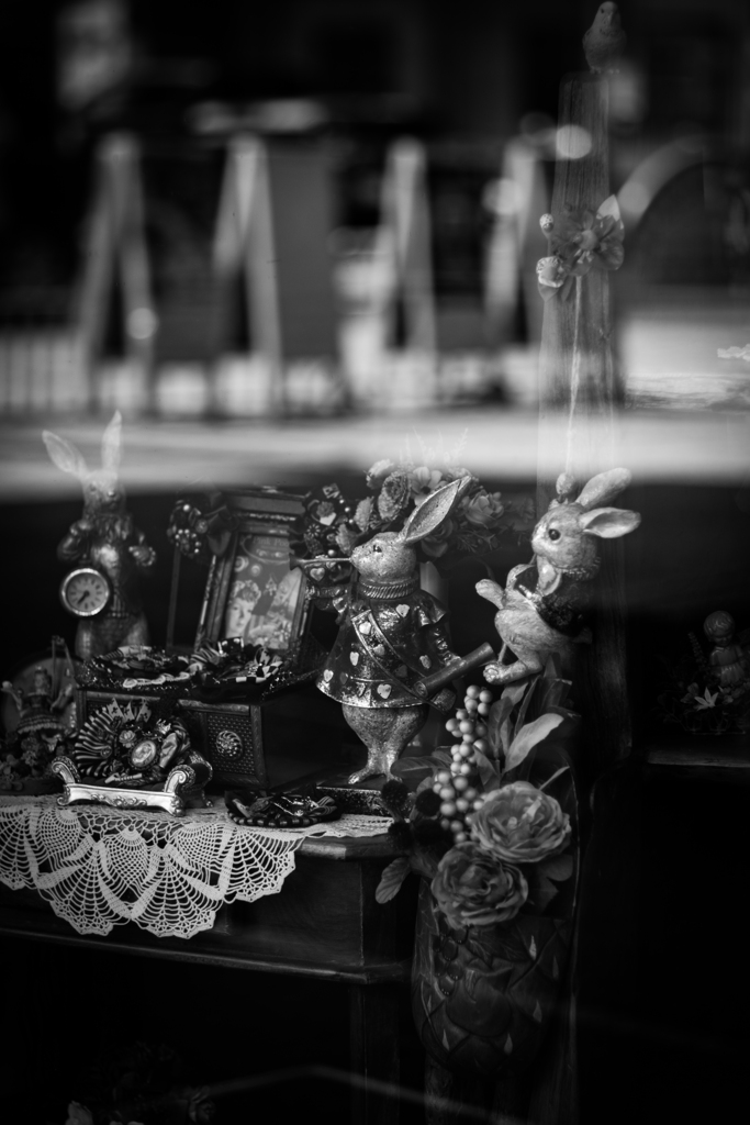 ∻　show window　∻