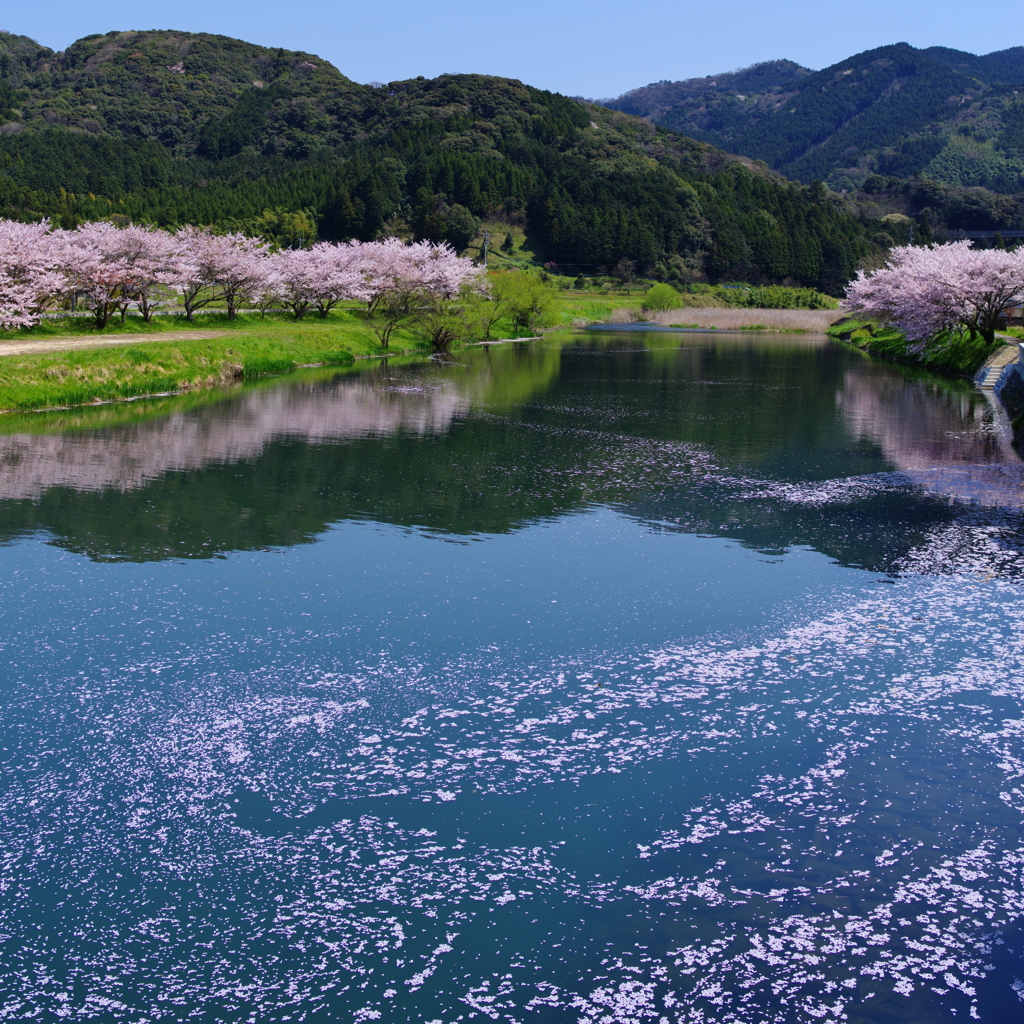 流れゆく季節