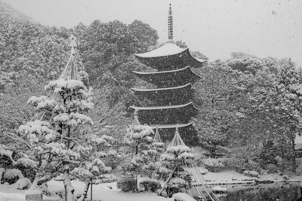 雪化粧