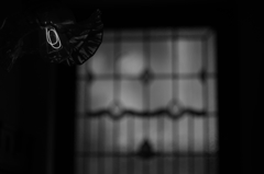過去の光り