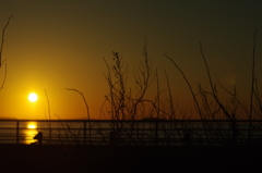 夕刻のシルエット