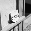 ｏｐｅｎ