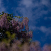 青空