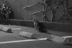 見つめる先には…