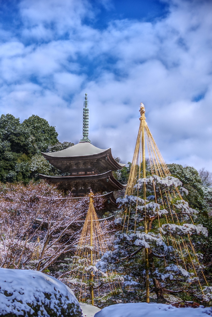 雪化粧