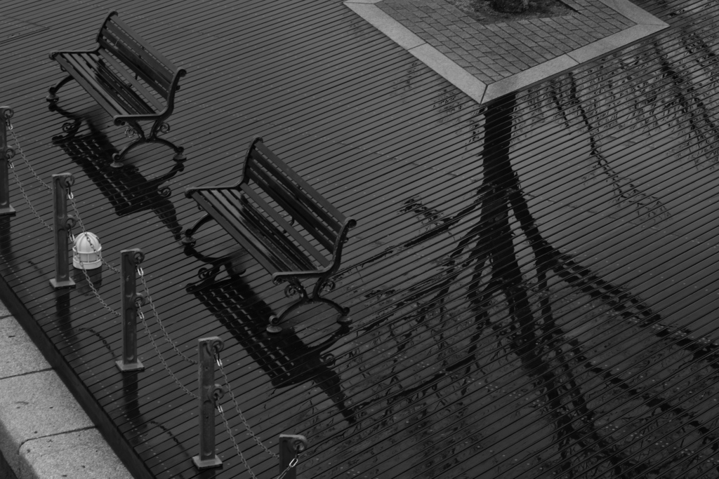 雨に濡れて