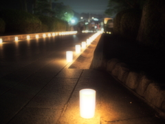 ファンタジック　ナイト