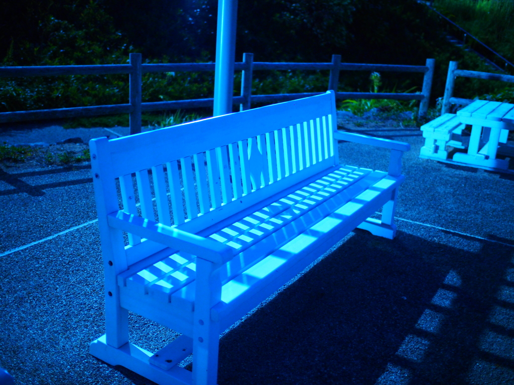 月の明かりに照らされて