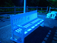 月の明かりに照らされて