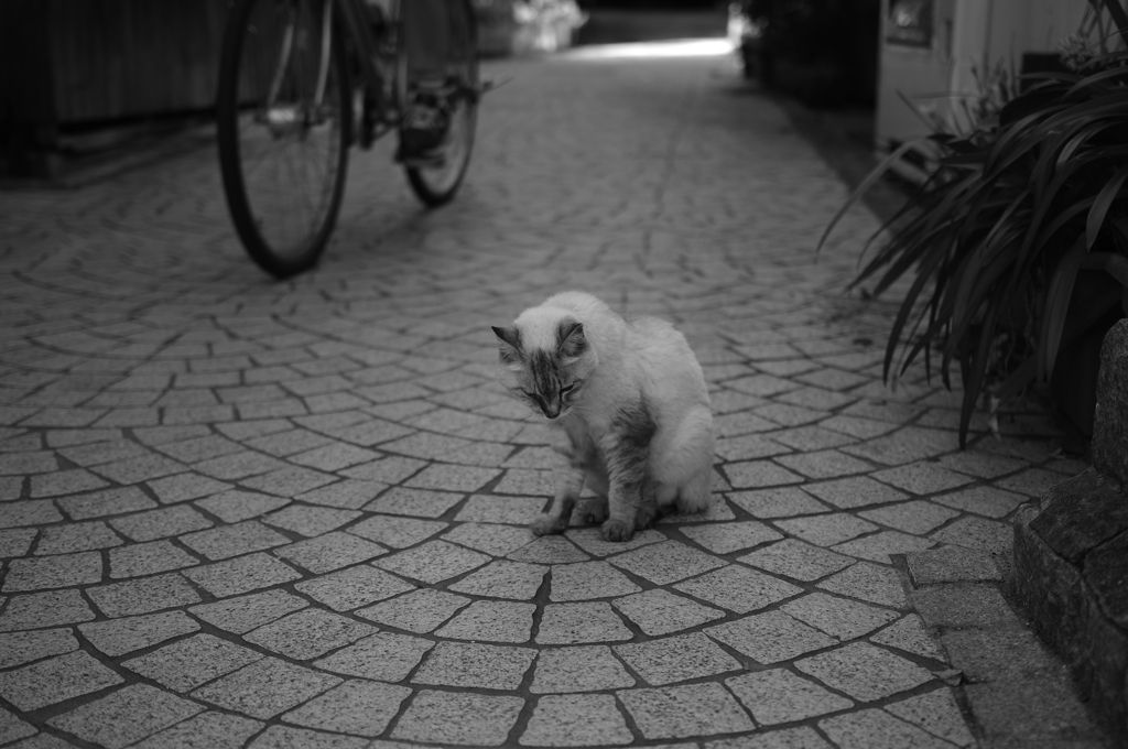 憂鬱な時