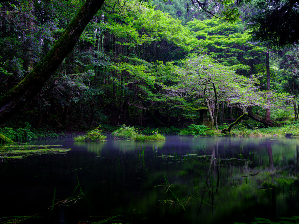 静寂