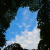 夏に続くトンネル