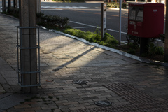 夕暮れの陽ざし
