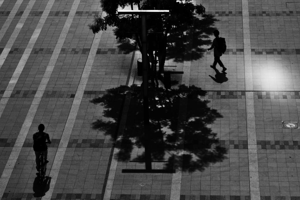 光りと影の世界