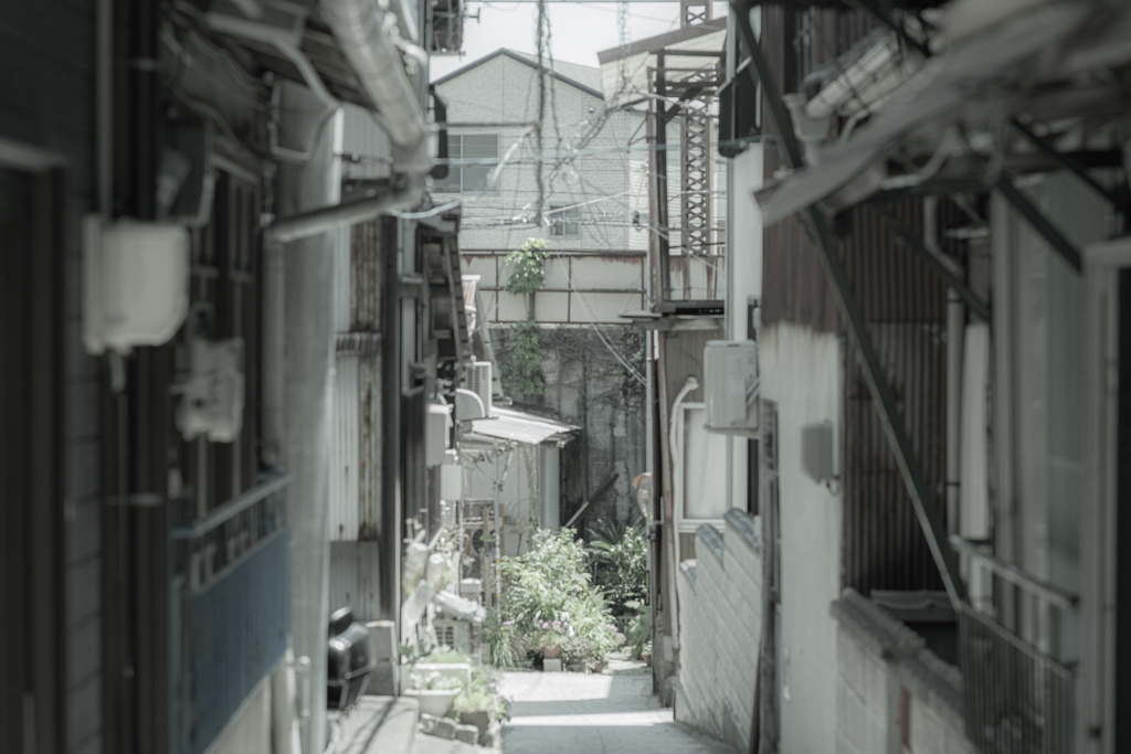 路地裏の光り